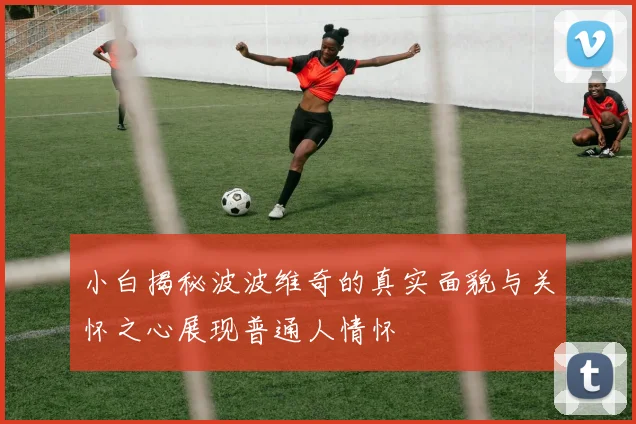 小白揭秘波波维奇的真实面貌与关怀之心展现普通人情怀